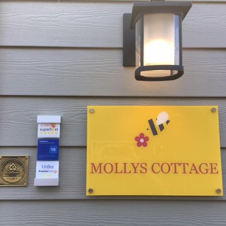 Mollys Cottage-The Suite On Vancouver Island Near Yyj Airport And The Wa And Bc Ferries Норт-Сааніч Екстер'єр фото
